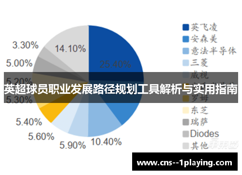 英超球员职业发展路径规划工具解析与实用指南 英超球员职业发展路径规划工具解析与实用指南