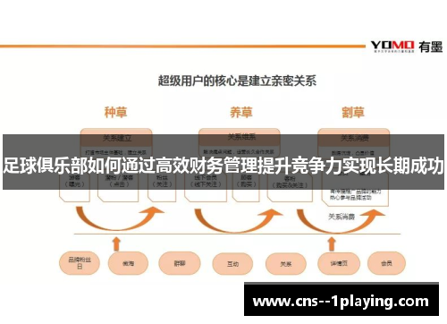 足球俱乐部如何通过高效财务管理提升竞争力实现长期成功