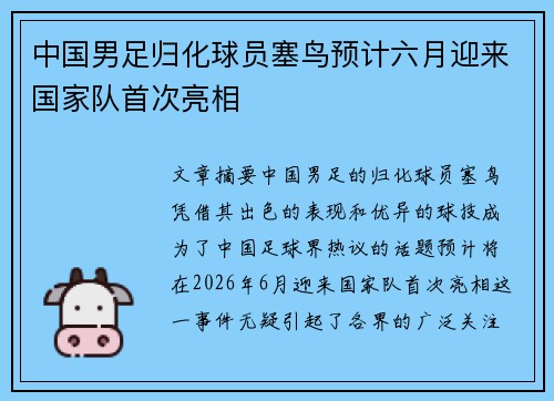 中国男足归化球员塞鸟预计六月迎来国家队首次亮相