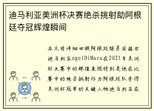 迪马利亚美洲杯决赛绝杀挑射助阿根廷夺冠辉煌瞬间